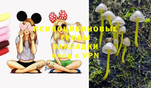 спиды Абдулино