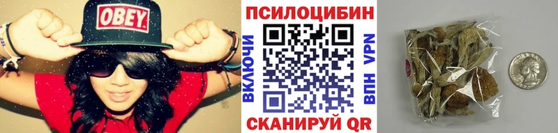 MEGA зеркало  даркнет официальный сайт  Галлюциногенные грибы Psilocybe  Курск 